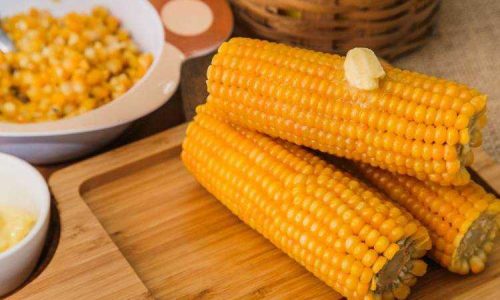 Festa Junina para Programadores: Receitas e Tradições Tech